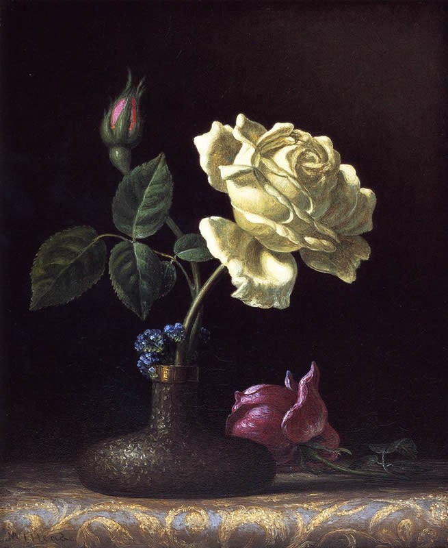 Martin Johnson Heade The White Rose